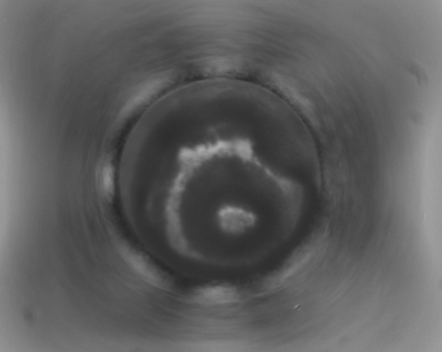 X0000114520067200910191203