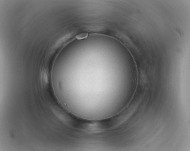 X0000114520068200910191203