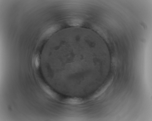 X0000114520069200910191204