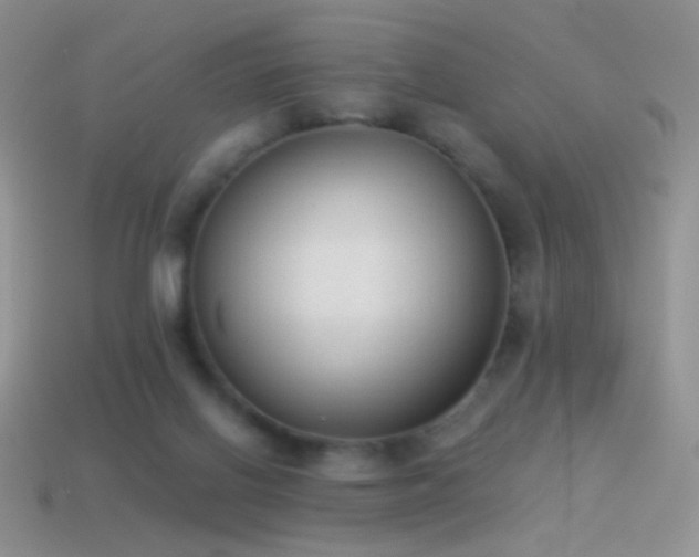 X0000114520070200910191204