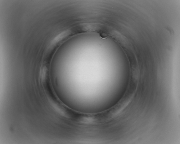 X0000114520071200910191204