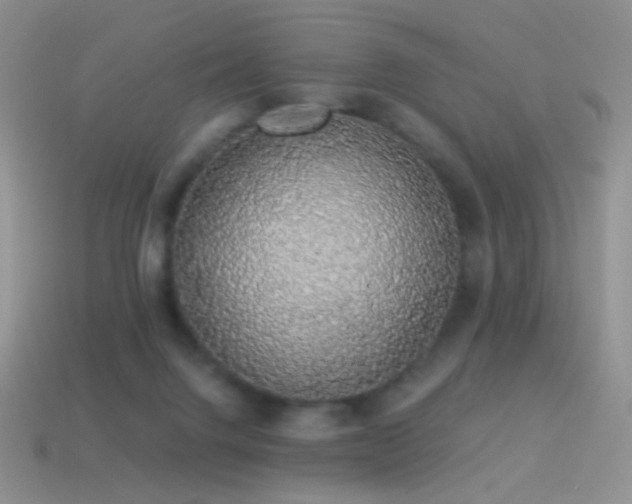 X0000114520072200910191204