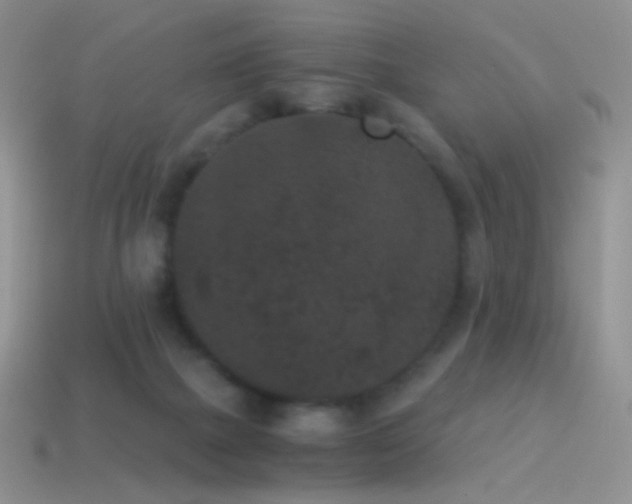 X0000114520073200910191204