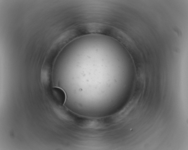 X0000114520074200910191204