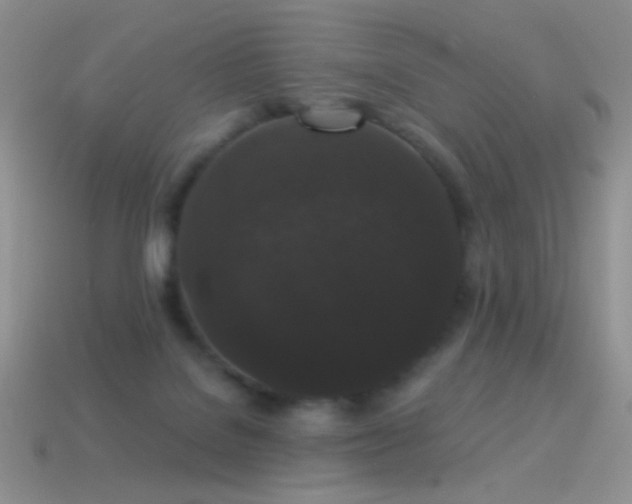 X0000114520076200910191204