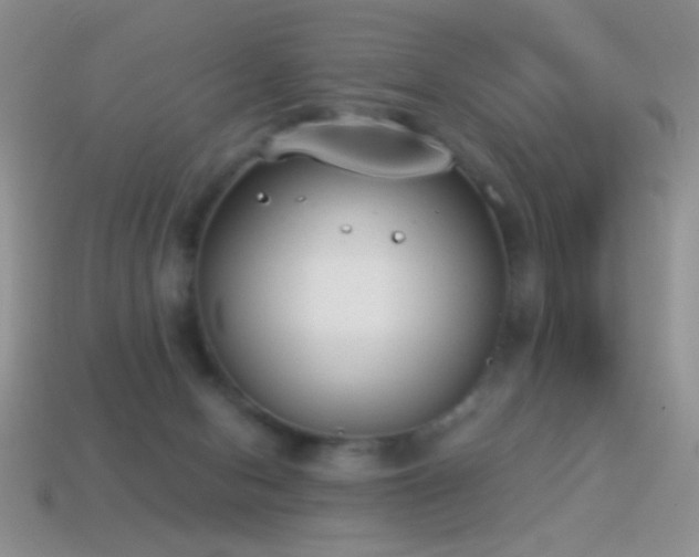 X0000114520078200910191204