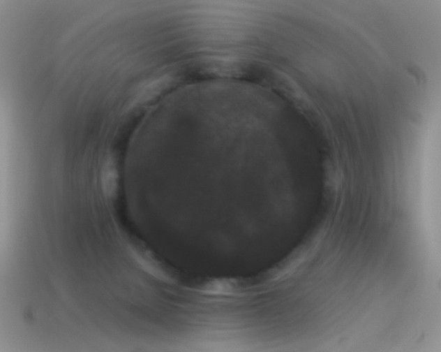 X0000114520080200910191204