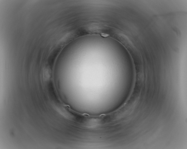 X0000114520081200910191204