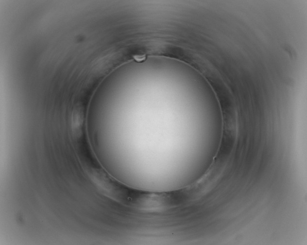 X0000114520082200910191204