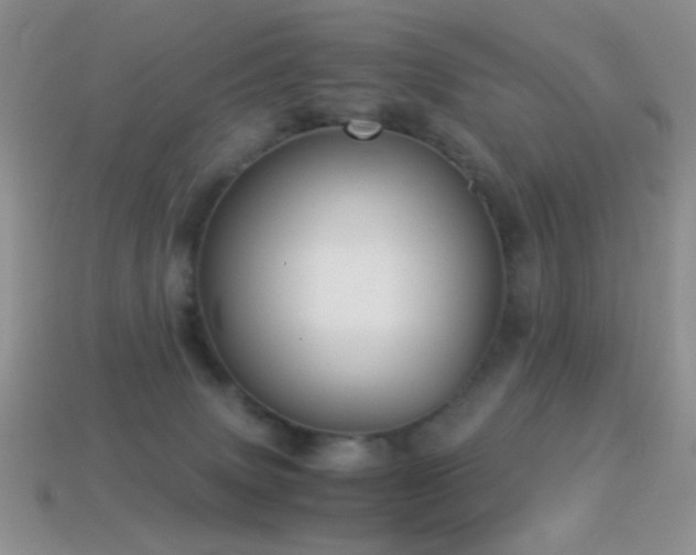 X0000114520083200910191204