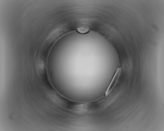 X0000114520084200910191204