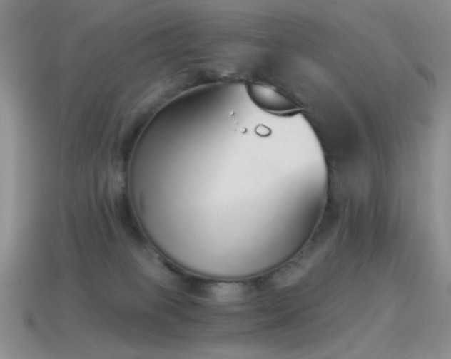 X0000114520085200910191204