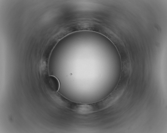 X0000114520087200910191204