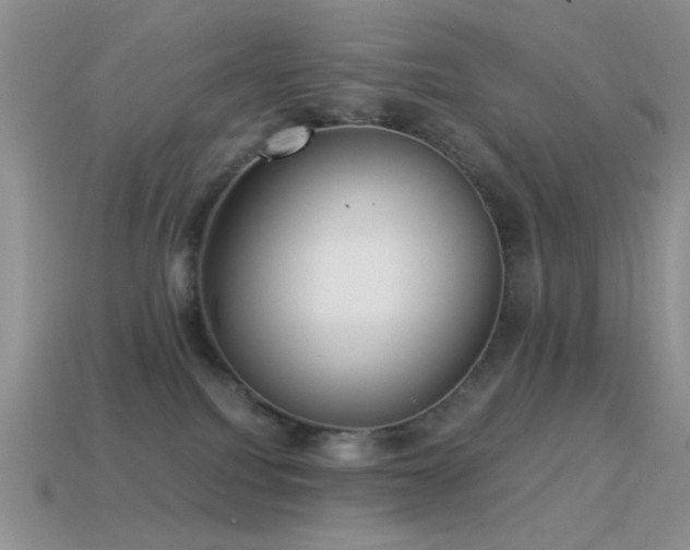 X0000114520088200910191204