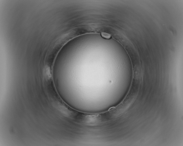 X0000114520089200910191204