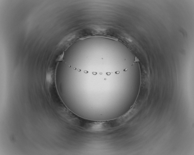 X0000114520090200910191204