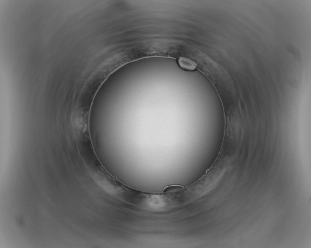 X0000114520091200910191204