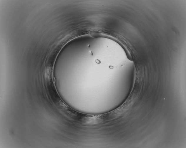 X0000114520093200910191204