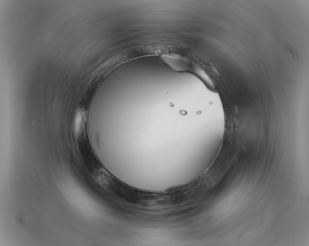 X0000114520095200910191204