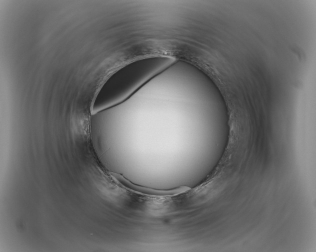 X0000114520096200910191204