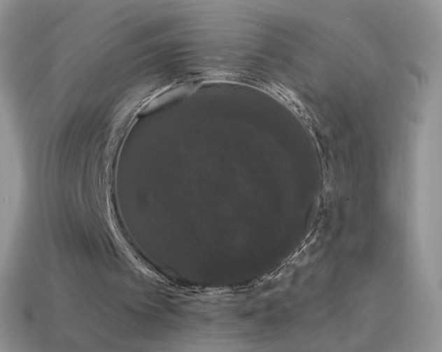 X0000114520097200910191203