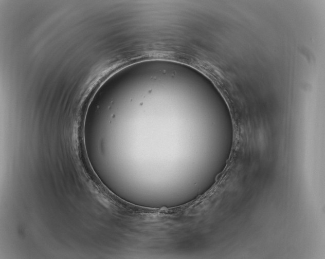 X0000114520098200910191203