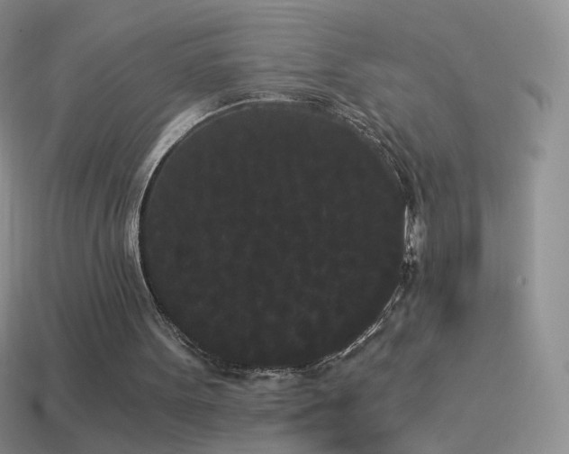 X0000114520099200910191203