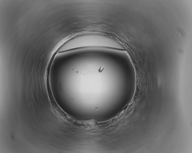 X0000114520100200910191203