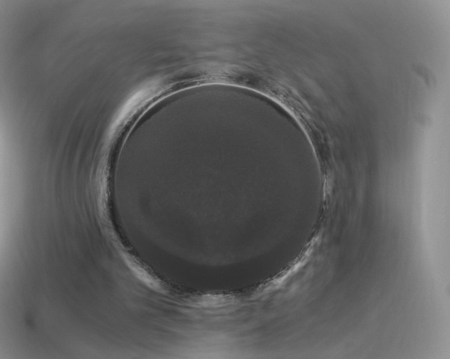 X0000114520101200910191203