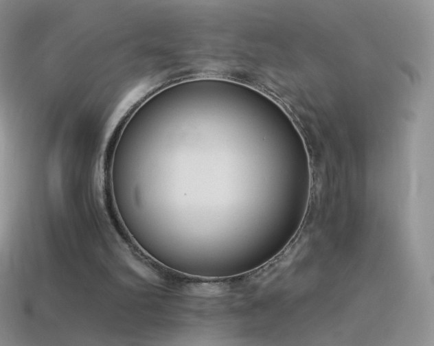 X0000114520102200910191203