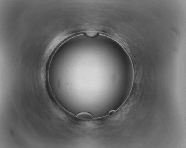 X0000114520103200910191203