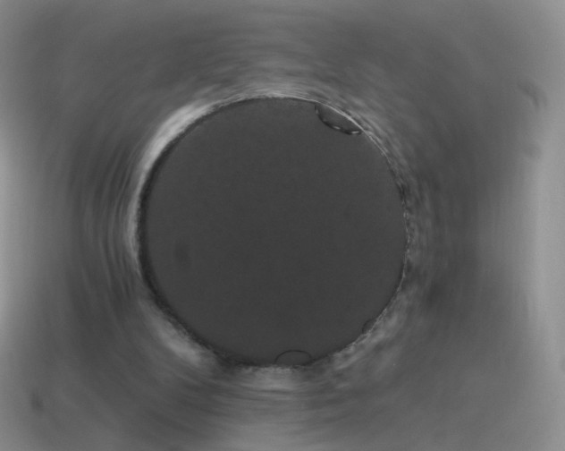 X0000114520104200910191203