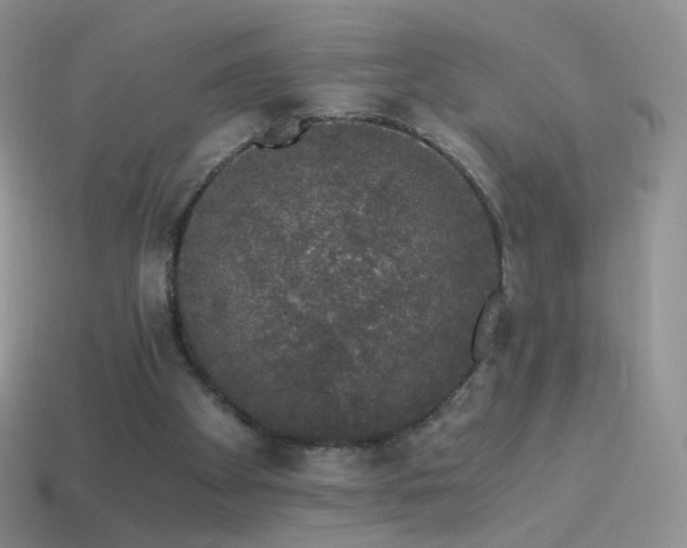 X0000114520105200910191203