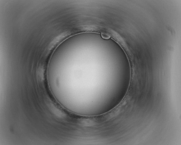 X0000114520106200910191203