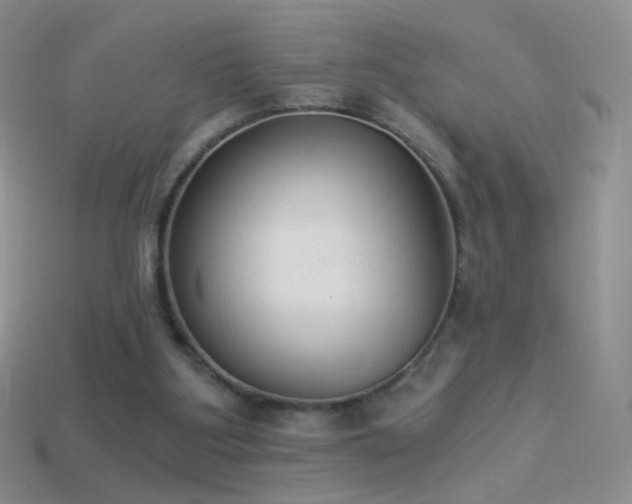 X0000114520107200910191203