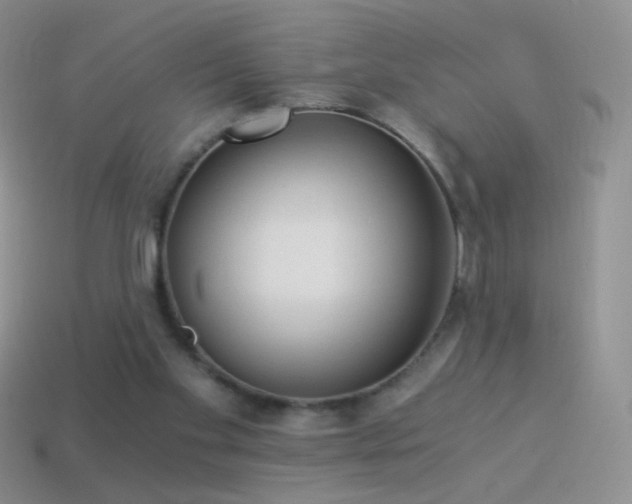 X0000114520109200910191203