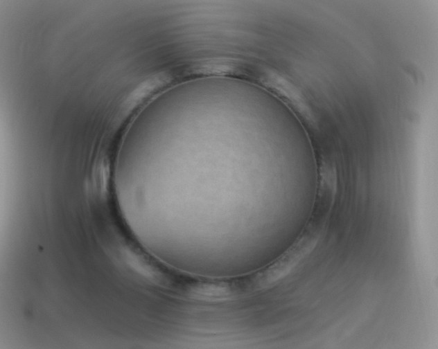 X0000114520110200910191203