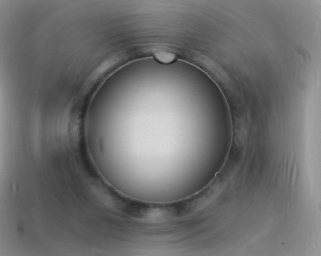 X0000114520111200910191203