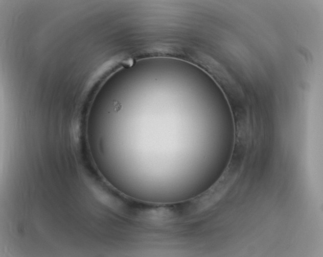 X0000114520112200910191203