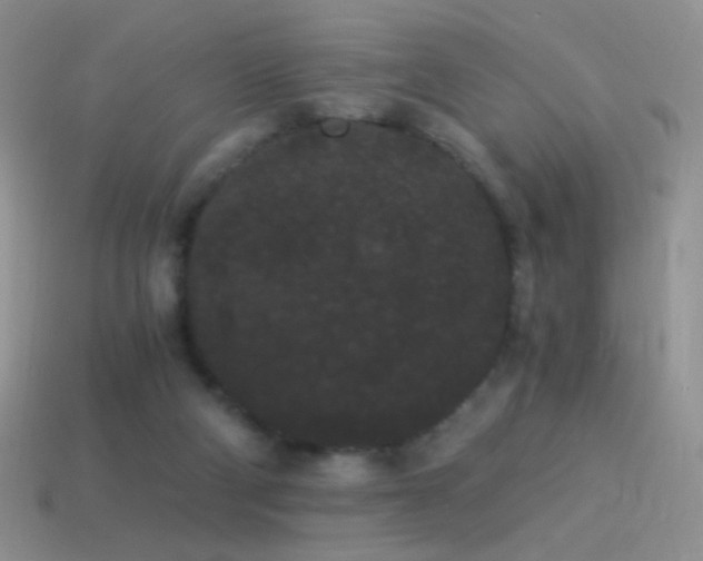 X0000114520114200910191203