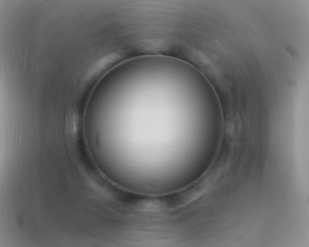 X0000114520115200910191203