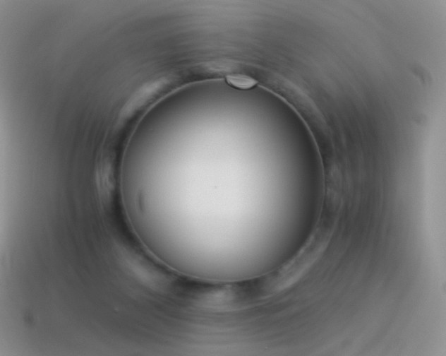 X0000114520116200910191203