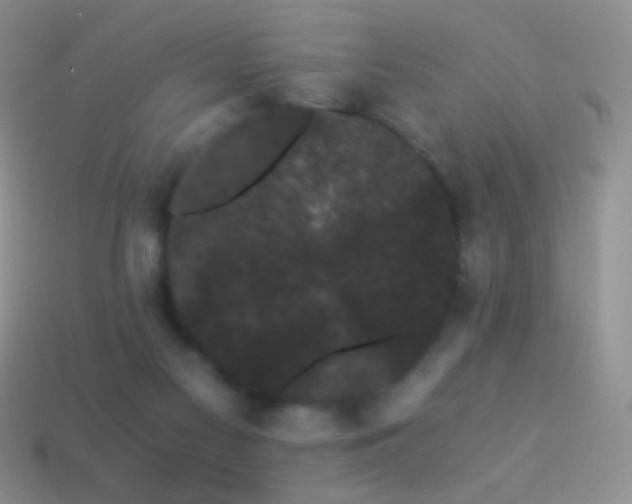 X0000114520117200910191203