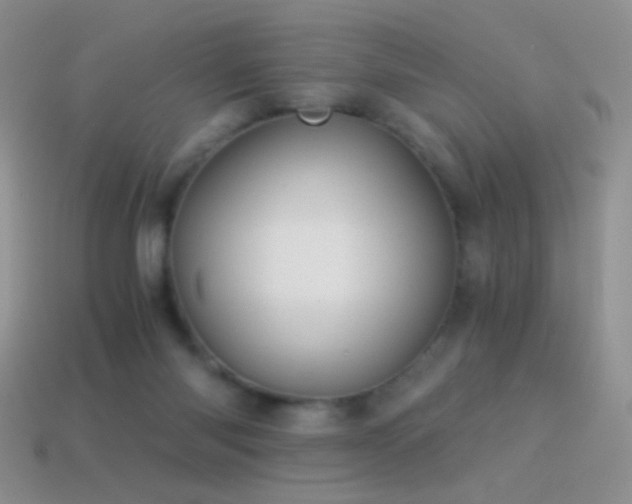 X0000114520118200910191203