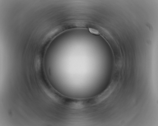 X0000114520120200910191203