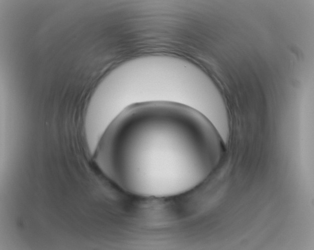 X0000114520121200910191203