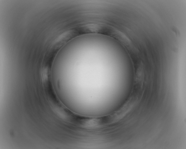 X0000114520122200910191203