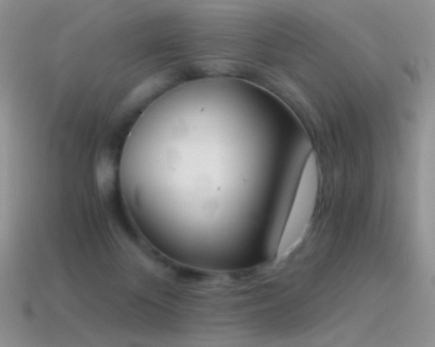 X0000114520124200910191203