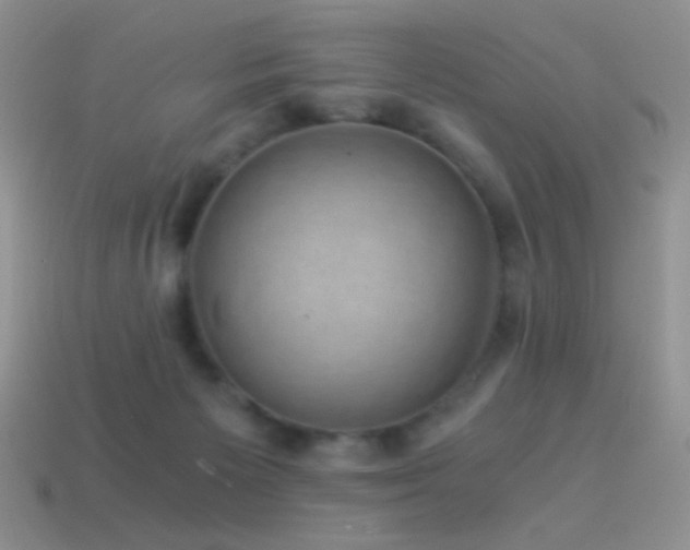 X0000114520125200910191203