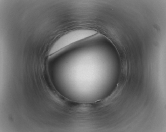 X0000114520128200910191203